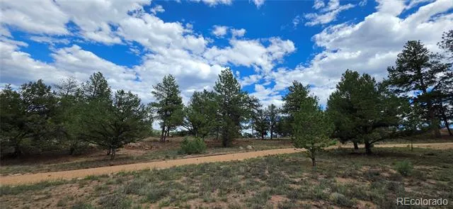 638 Keith Lane Cotopaxi, CO 81223