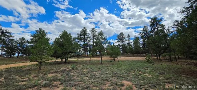 638 Keith Lane Cotopaxi, CO 81223