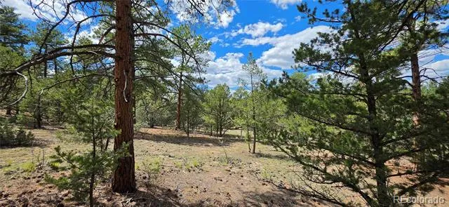 638 Keith Lane Cotopaxi, CO 81223