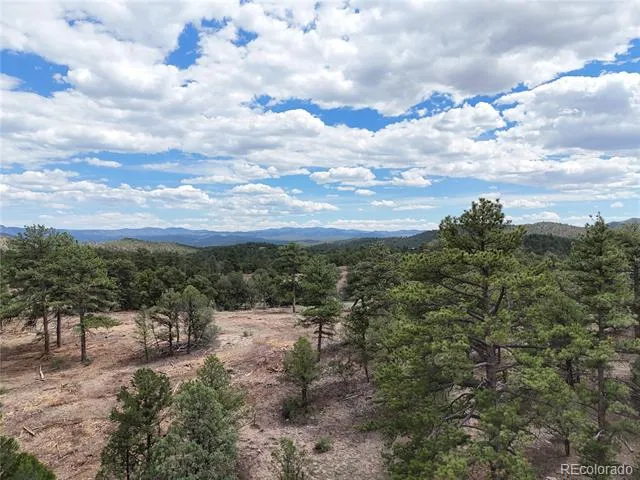 638 Keith Lane Cotopaxi, CO 81223