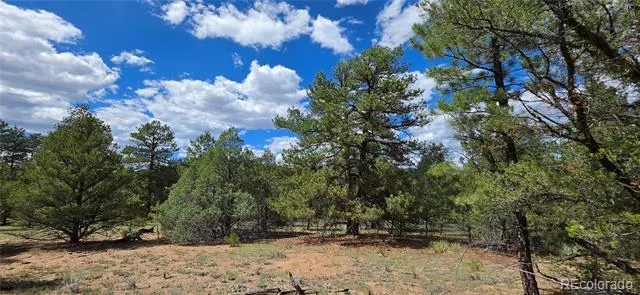 638 Keith Lane Cotopaxi, CO 81223