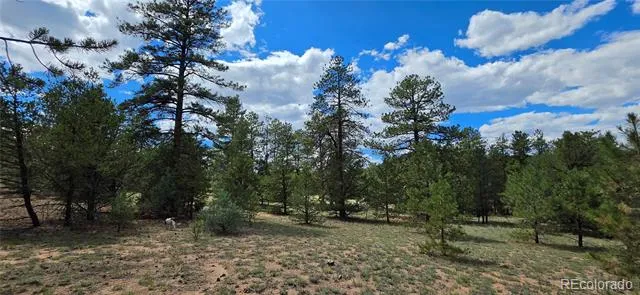 638 Keith Lane Cotopaxi, CO 81223