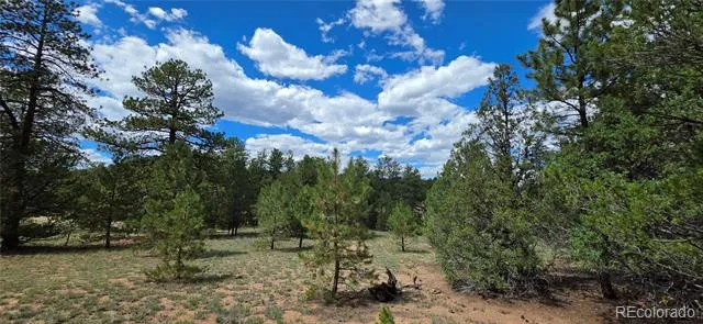 638 Keith Lane Cotopaxi, CO 81223