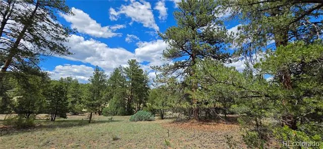 638 Keith Lane Cotopaxi, CO 81223