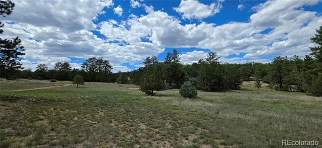 638 Keith Lane Cotopaxi, CO 81223