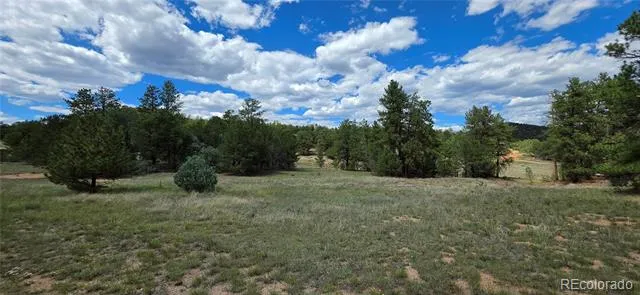 638 Keith Lane Cotopaxi, CO 81223