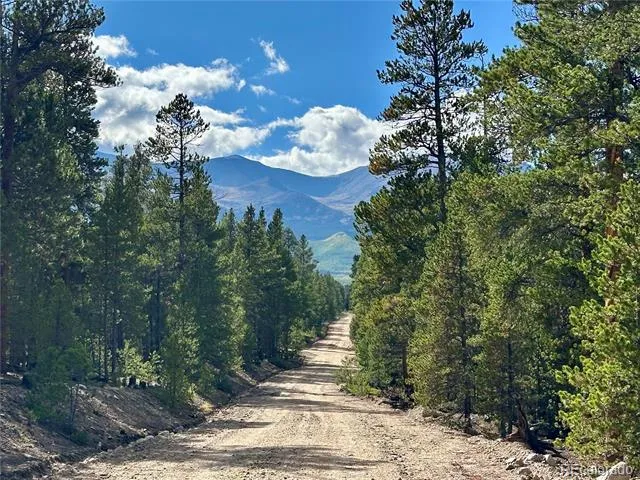 143 Fir Drive Leadville, CO 80461