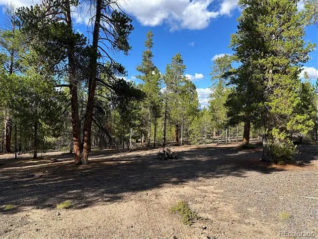 143 Fir Drive Leadville, CO 80461