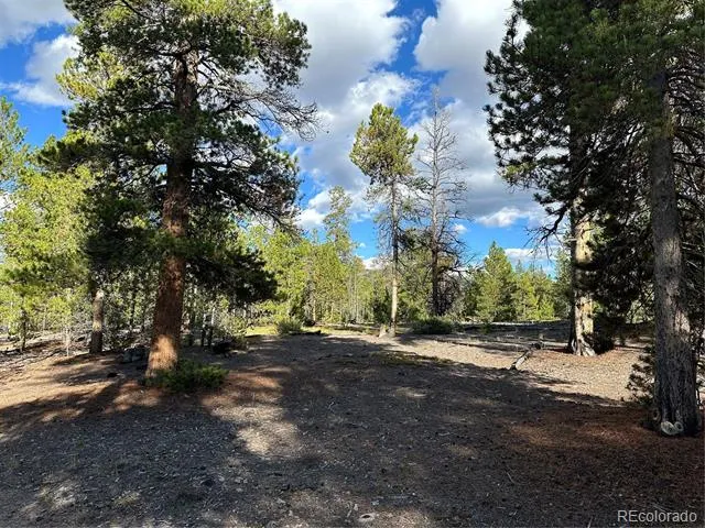 143 Fir Drive Leadville, CO 80461