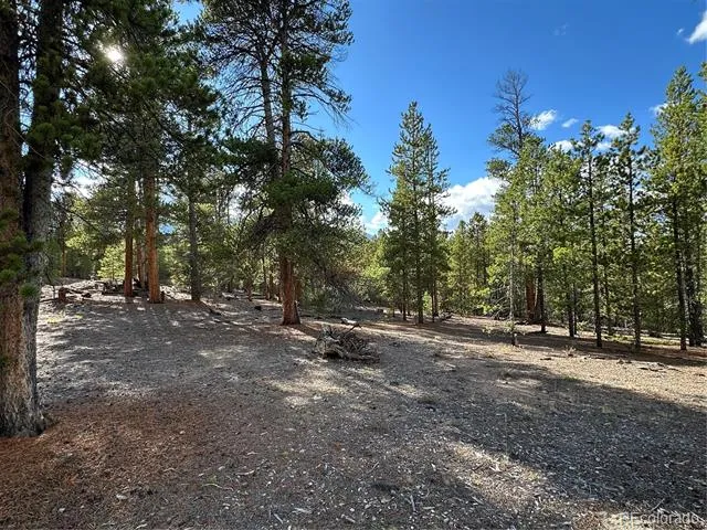 143 Fir Drive Leadville, CO 80461
