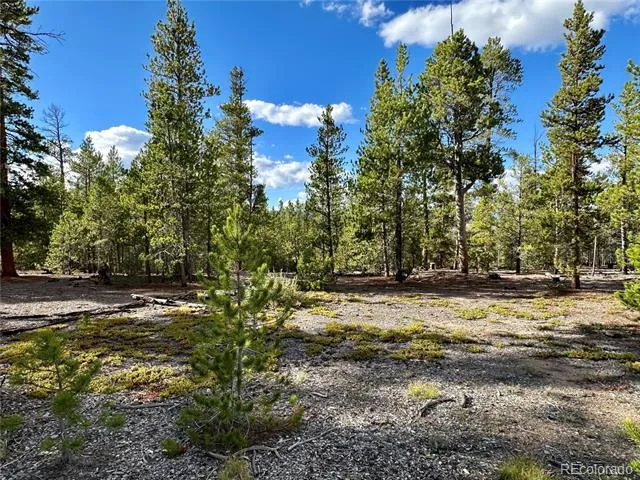 143 Fir Drive Leadville, CO 80461