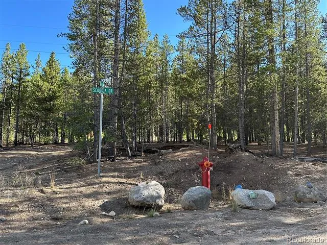 143 Fir Drive Leadville, CO 80461