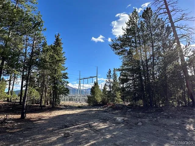 143 Fir Drive Leadville, CO 80461