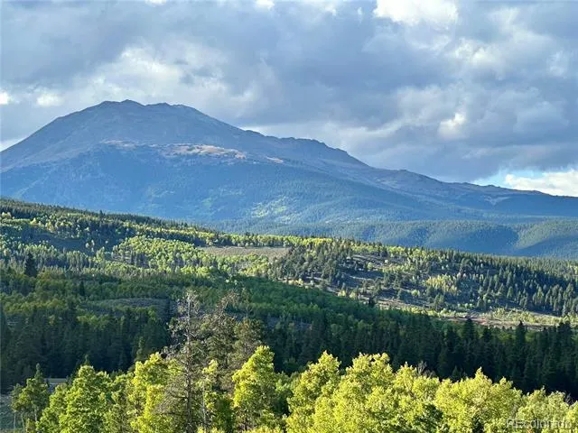 143 Fir Drive Leadville, CO 80461