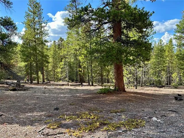 143 Fir Drive Leadville, CO 80461