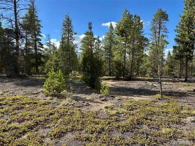 143 Fir Drive Leadville, CO 80461