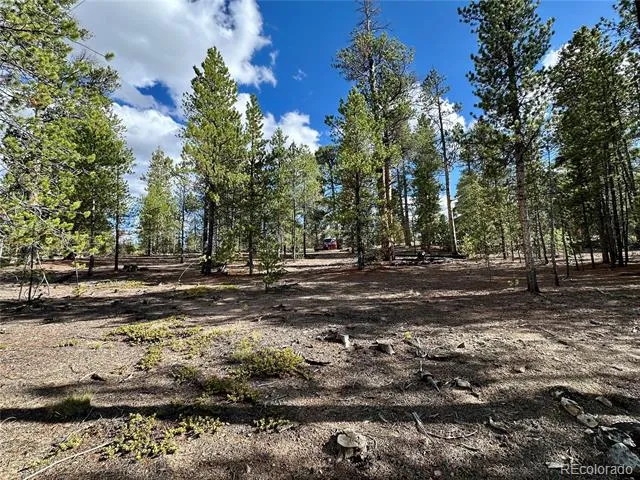 143 Fir Drive Leadville, CO 80461
