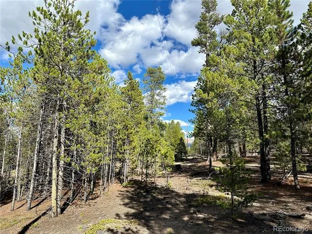 143 Fir Drive Leadville, CO 80461
