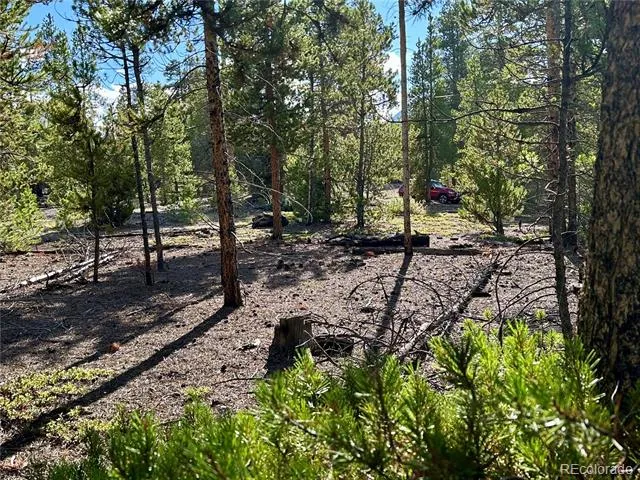 143 Fir Drive Leadville, CO 80461