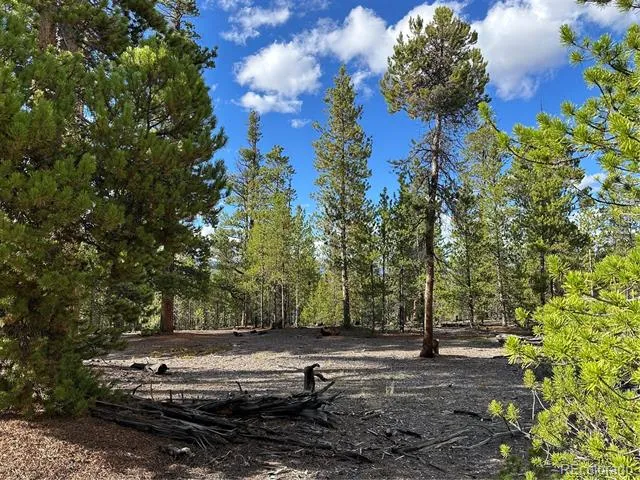 143 Fir Drive Leadville, CO 80461