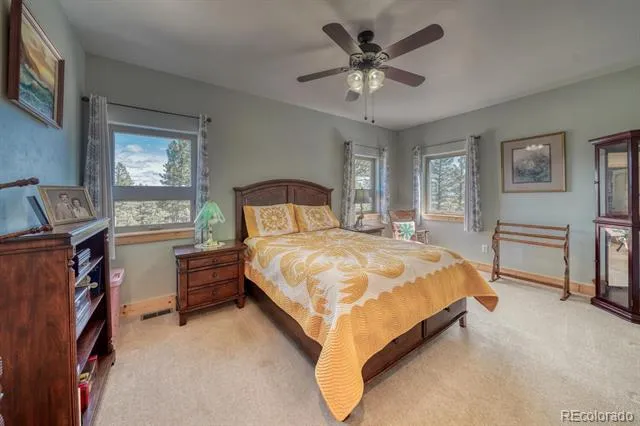 3561 Singletree Road Hartsel, CO 80449