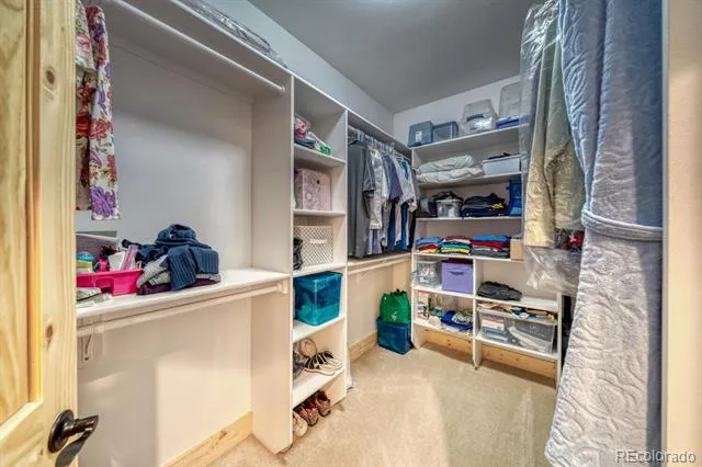 3561 Singletree Road Hartsel, CO 80449