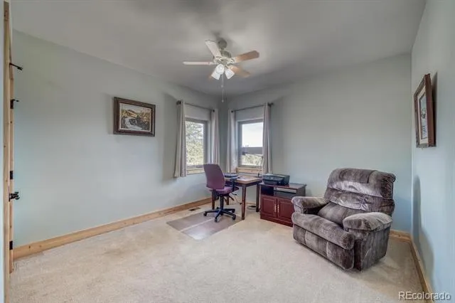 3561 Singletree Road Hartsel, CO 80449