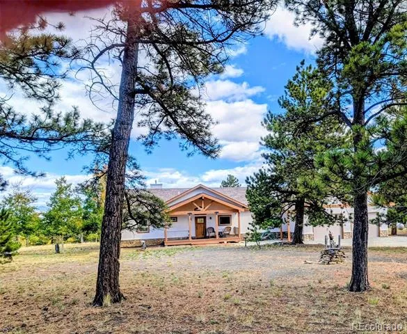 3561 Singletree Road Hartsel, CO 80449