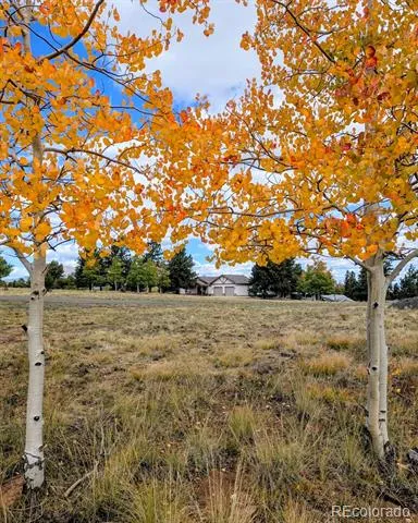 3561 Singletree Road Hartsel, CO 80449