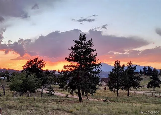 3561 Singletree Road Hartsel, CO 80449