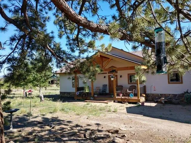 3561 Singletree Road Hartsel, CO 80449
