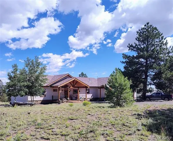 3561 Singletree Road Hartsel, CO 80449