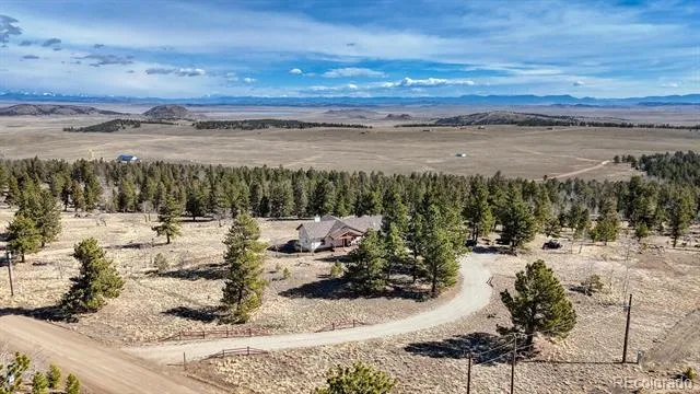 3561 Singletree Road Hartsel, CO 80449