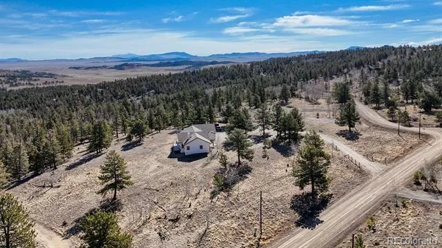 3561 Singletree Road Hartsel, CO 80449