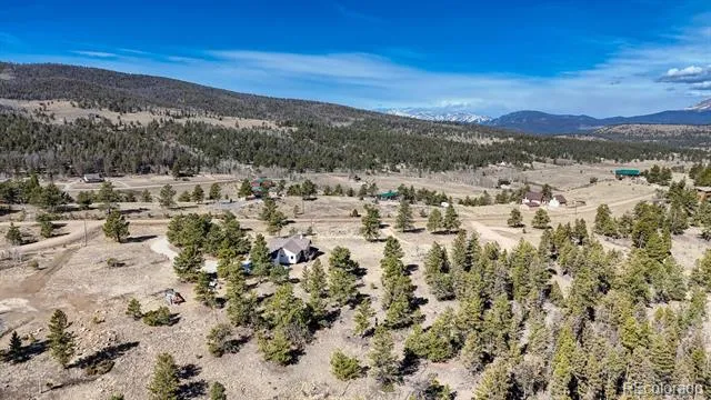 3561 Singletree Road Hartsel, CO 80449
