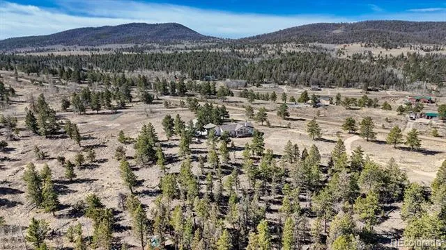3561 Singletree Road Hartsel, CO 80449