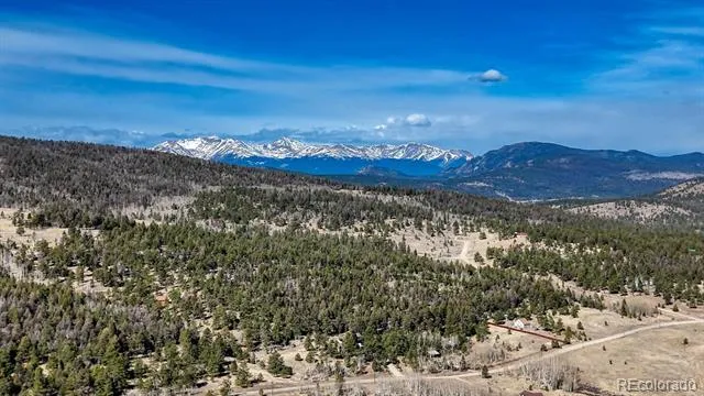 3561 Singletree Road Hartsel, CO 80449