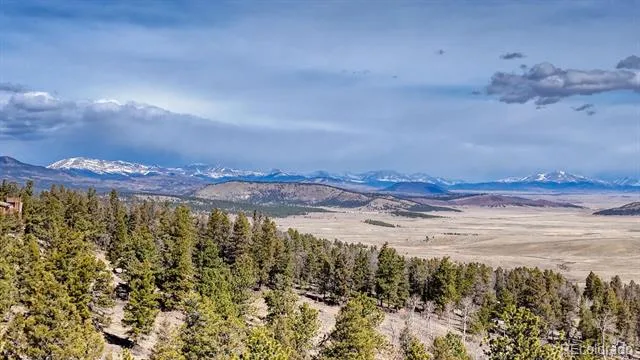 3561 Singletree Road Hartsel, CO 80449