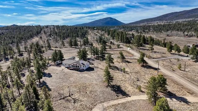 3561 Singletree Road Hartsel, CO 80449