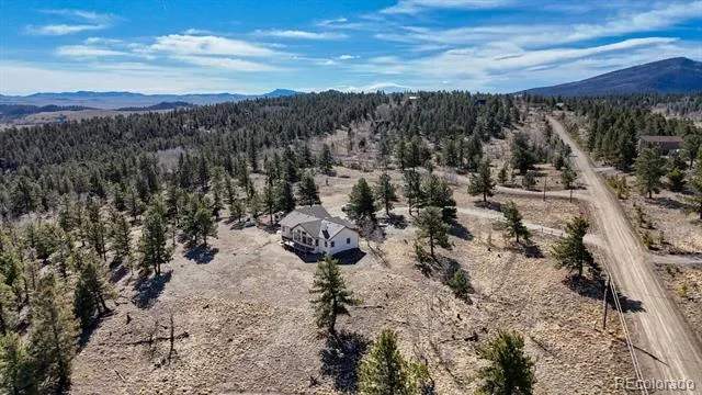 3561 Singletree Road Hartsel, CO 80449