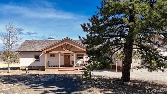 3561 Singletree Road Hartsel, CO 80449