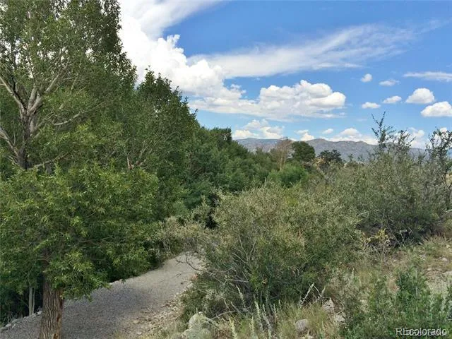 17520 County Road 306 Buena Vista, CO 81211