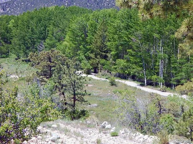 17520 County Road 306 Buena Vista, CO 81211