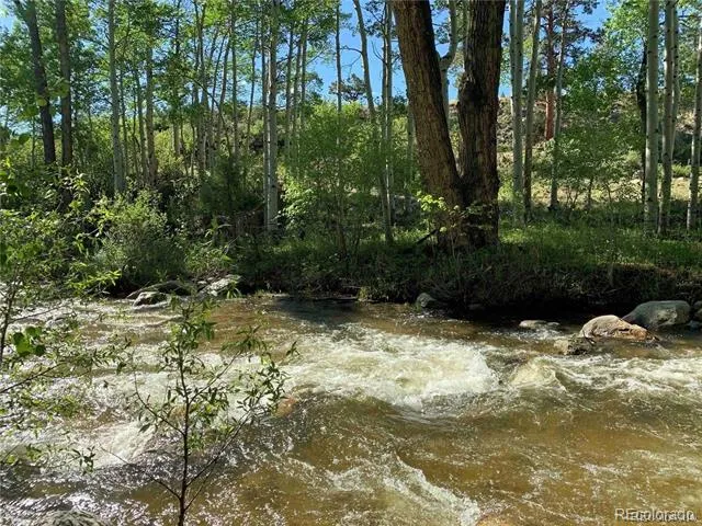 17520 County Road 306 Buena Vista, CO 81211