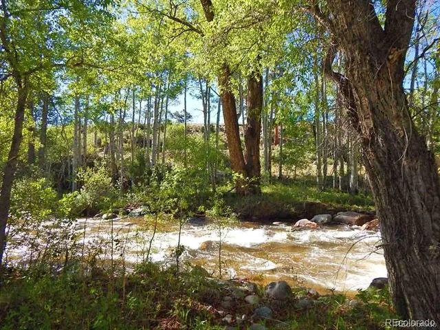 17520 County Road 306 Buena Vista, CO 81211