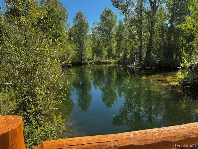 17520 County Road 306 Buena Vista, CO 81211