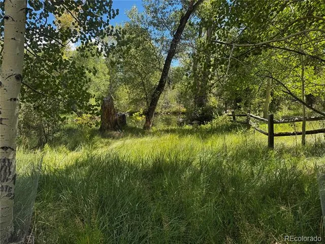 17520 County Road 306 Buena Vista, CO 81211