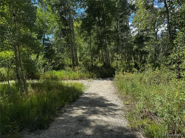 17520 County Road 306 Buena Vista, CO 81211