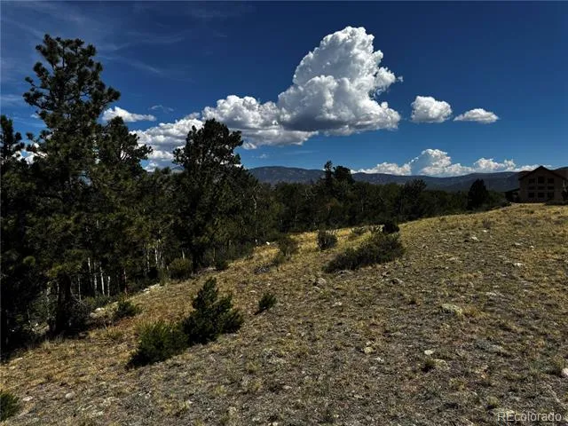 17520 County Road 306 Buena Vista, CO 81211