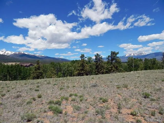 17520 County Road 306 Buena Vista, CO 81211